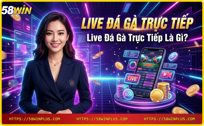 Live đá gà trực tiếp - giao diện xem trực tuyến tại 58WIN