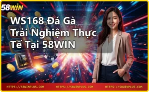 Nền tảng WS168 đá gà trực tuyến uy tín tại 58WIN
